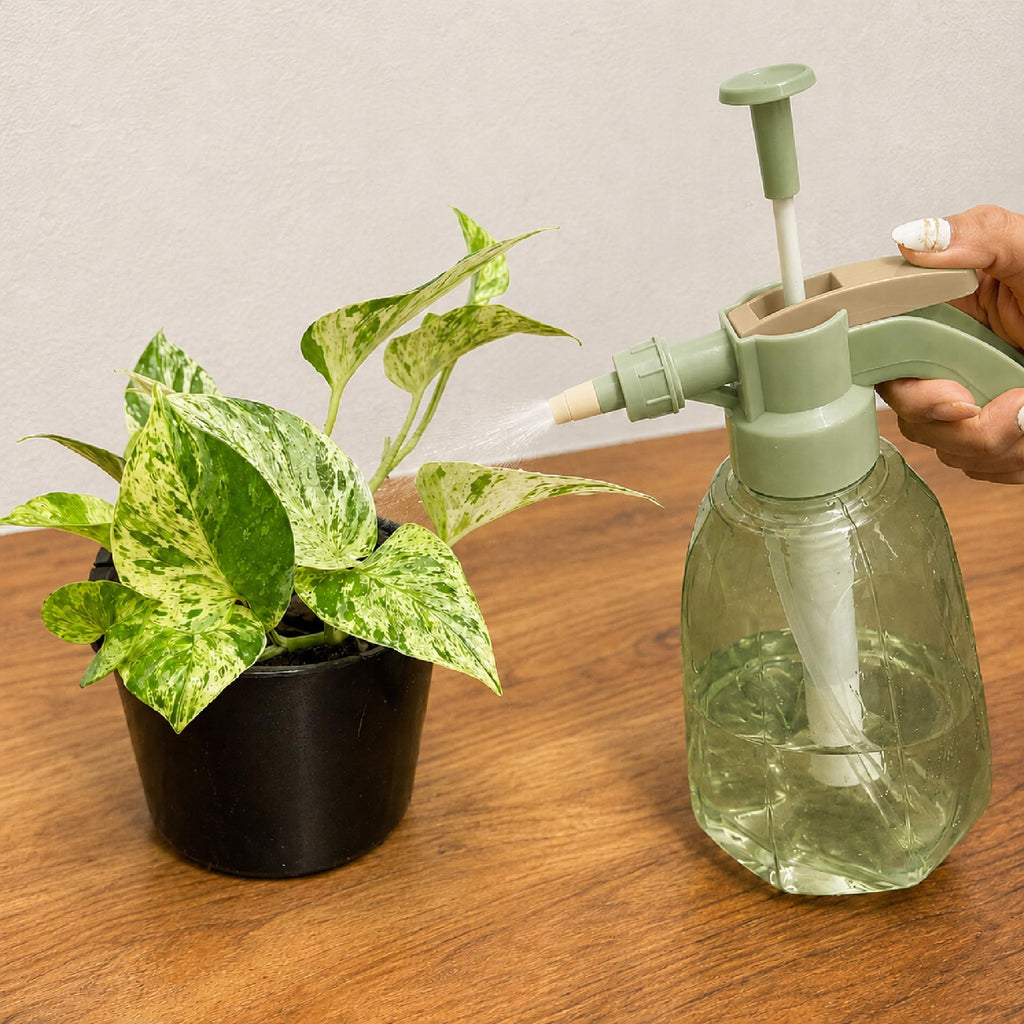 Atomizador Aspersor de Presión para Plantas 1.5 L